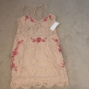 Tobi nude lace dress